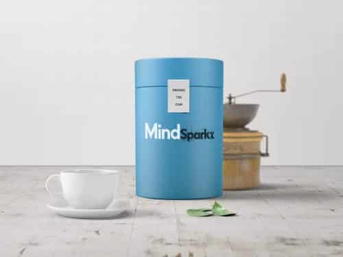 Mindsparkz Packaging Design